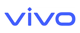 PIBM Company Logo Vivo 